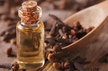 বিরিয়ানিতে লবঙ্গ কেন দেওয়া হয় অনেকেই জানে না কিন্তু! একবার জানলে পাতের পাশে বেছে রাখবেন না