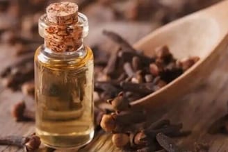 বিরিয়ানিতে লবঙ্গ কেন দেওয়া হয় অনেকেই জানে না কিন্তু! একবার জানলে পাতের পাশে বেছে রাখবেন না