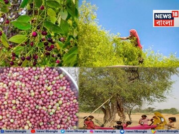 আঙুর, করমচা নয়! ছোট্ট মিষ্টি 'এই' লাল ফল মাত্র দু-মাস মেলে! পিরিয়ডের সমস্যা ভ্যানিশ