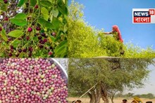 আঙুর, করমচা নয়! ছোট্ট মিষ্টি 'এই' লাল ফল মাত্র দু-মাস মেলে! পিরিয়ডের সমস্যা ভ্যানিশ