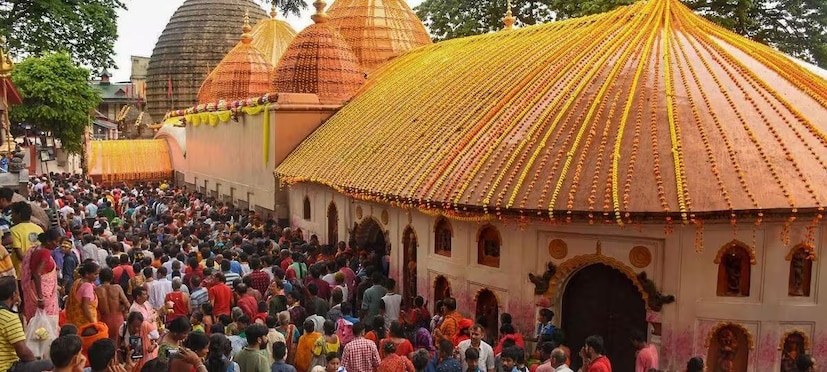 অম্বুবাচী বা অমাবস্যার ব্রত পালন করুন বা না করুন, জেনে নিন কিছু জ্যোতিষ পরামর্শ৷ মনে করা হয় সেগুলি পালন করলে জীবনে আসবে না অভাব৷ সুখ শান্তি অর্থবৃষ্টিতে ভাসবে সংসার৷ বলছেন জ্যোতিষ বিশারদ চক্রপাণি ভাট৷