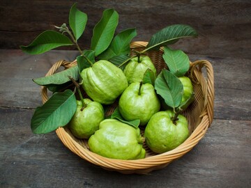 ওজন কমানোর 'গোপন ফর্মূলা'! অনেকে জানতেনই না, পেয়ারা খেয়েই আপনি পেতে পারেন ছিপছিপে 'ফিগার'