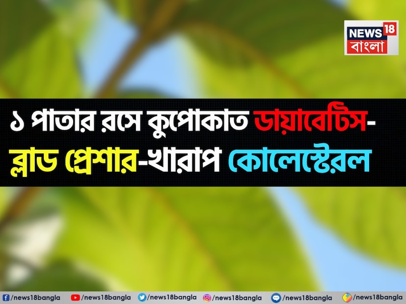 ডায়াবেটিস এমন একটি রোগ যা আজ লক্ষ লক্ষ মানুষকে প্রভাবিত করেছে, বিশেষ করে ভারতে এর রোগীর সংখ্যা দ্রুত বৃদ্ধি পাচ্ছে। সাধারণত এর চিকিৎসার জন্য অ্যালোপ্যাথিক ওষুধ ব্যবহার করা হয়, যার অনেক পার্শ্বপ্রতিক্রিয়া হতে পারে। এমন পরিস্থিতিতে, প্রাকৃতিক এবং আয়ুর্বেদিক প্রতিকারের প্রতি প্রবণতা বাড়ছে। এর মধ্যে একটি হল পেয়ারা গাছ, যার পাতা ডায়াবেটিস নিয়ন্ত্রণে অত্যন্ত কার্যকর বলে মনে করা হয়।