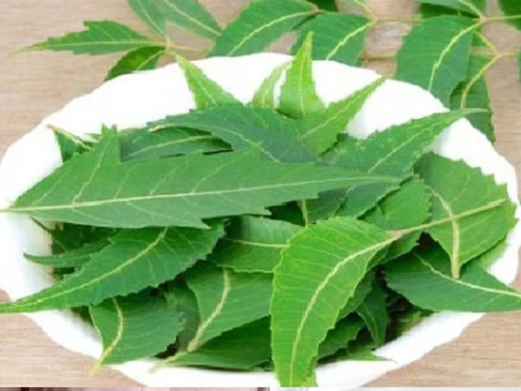 Neem Leaves Side Effects: নিমপাতার হাজার-একটা গুণ, কিন্তু এই পাতা সবার জন্য নয়, চিকিৎসক জানালেন নিমপাতা কাদের অসুস্থ করে তোলে