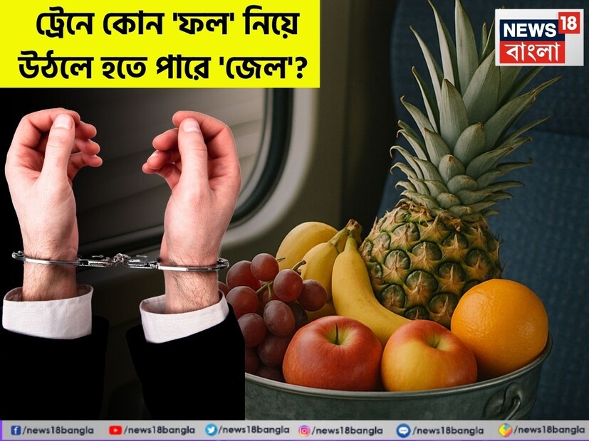 ভারতীয় রেলপথ বিশ্বের বৃহত্তম রেল নেটওয়ার্কের দিক থেকে চতুর্থ স্থানে। যাত্রী স্বাচ্ছন্দের ক্ষেত্রে, ভারতীয় রেল নিঃসন্দেহে দৃষ্টান্ত স্থাপন করেছে। সেই সঙ্গে সময়ে গন্তব্যে পৌঁছতে এই গণমাধ্যমের জুড়ি মেলা ভার।