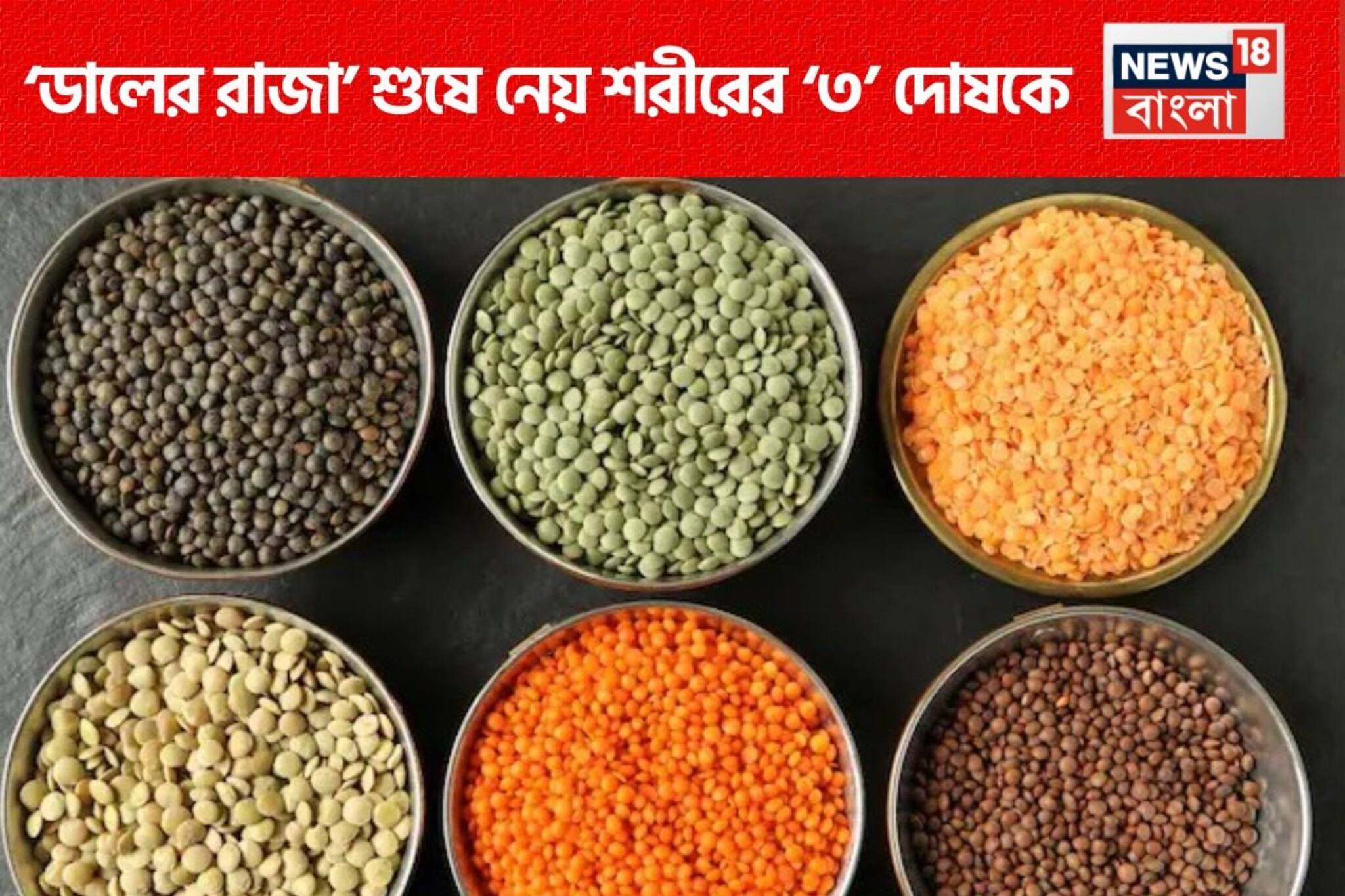শুষে নেয় শরীরে ‘৩ দোষ’! জব্দ করে ডায়াবেটিস, হাই ব্লাডপ্রেশারকে! চিনুন ‘ডালের রাজা’-কে!