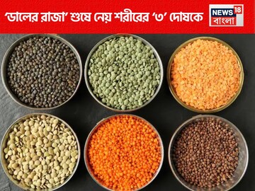 শুষে নেয় শরীরে ‘৩ দোষ’! জব্দ করে ডায়াবেটিস, হাই ব্লাডপ্রেশারকে! চিনুন ‘ডালের রাজা’-কে!