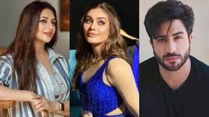 বিগবসের সবথেকে জনপ্রিয় সিজন ১৩-র প্রতিযোগী ছিলেন তিনি। তখন ফের লাইমলাইটে আসেন। ধারাবাহিক বা পর্দায় খুব বেশি দেখা না গেলেও তাঁর যাবতীয় ফেম তৈরি হয় কাঁটালাগার জন্যই।