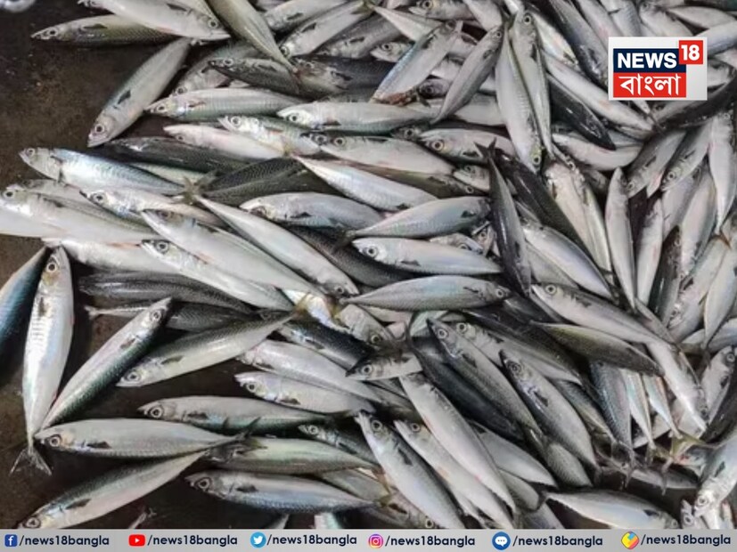 নয়াদিল্লির ডায়েটিশিয়ান পুনম দুনেজা বলেন যে টুনা মাছে প্রচুর পরিমাণে ক্যালসিয়াম থাকে যা হাড় মজবুত করার জন্য প্রয়োজনীয়। এর পাশাপাশি, এতে নিয়াসিন, সেলেনিয়াম, ফসফরাসের মতো উপাদান রয়েছে যা চুলকে পুষ্টি জোগায়। তাই, সপ্তাহে দু'দিনও যদি এটি খাওয়া হয়, তাহলে চুল পড়া বন্ধ হতে পারে।