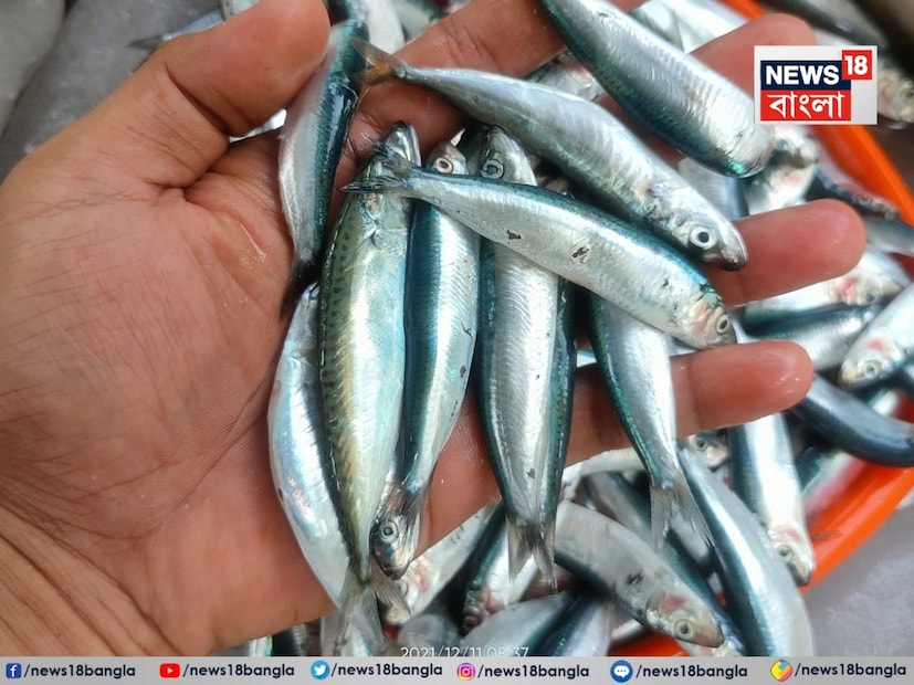 মুরগি, খাসির মাংস, ডিম বা সবজি যাই হোক না কেন, খাদ্যপ্রেমীরা যদি মাছ পান তবে তারা অন্য কিছু চায় না। তবে বেশিরভাগ মানুষ রুই, কাতলা জাতীয় মাছ পছন্দ করেন। কিন্তু আপনি জেনে অবাক হবেন যে রুই-কাতলার মতো মাছ এই মাছের সামনে কোথাও নেই। এটি পুষ্টির ভাণ্ডার। সপ্তাহে দু'দিনও যদি আপনি এই মাছ খান, তাহলে কয়েক দিনের মধ্যেই চুল পড়া বন্ধ হতে পারে। হাড় হবে মজবুত এবং শরীর পুষ্টিতে ভরপুর হতে পারে। বলুন তো কী এই মাছ৷