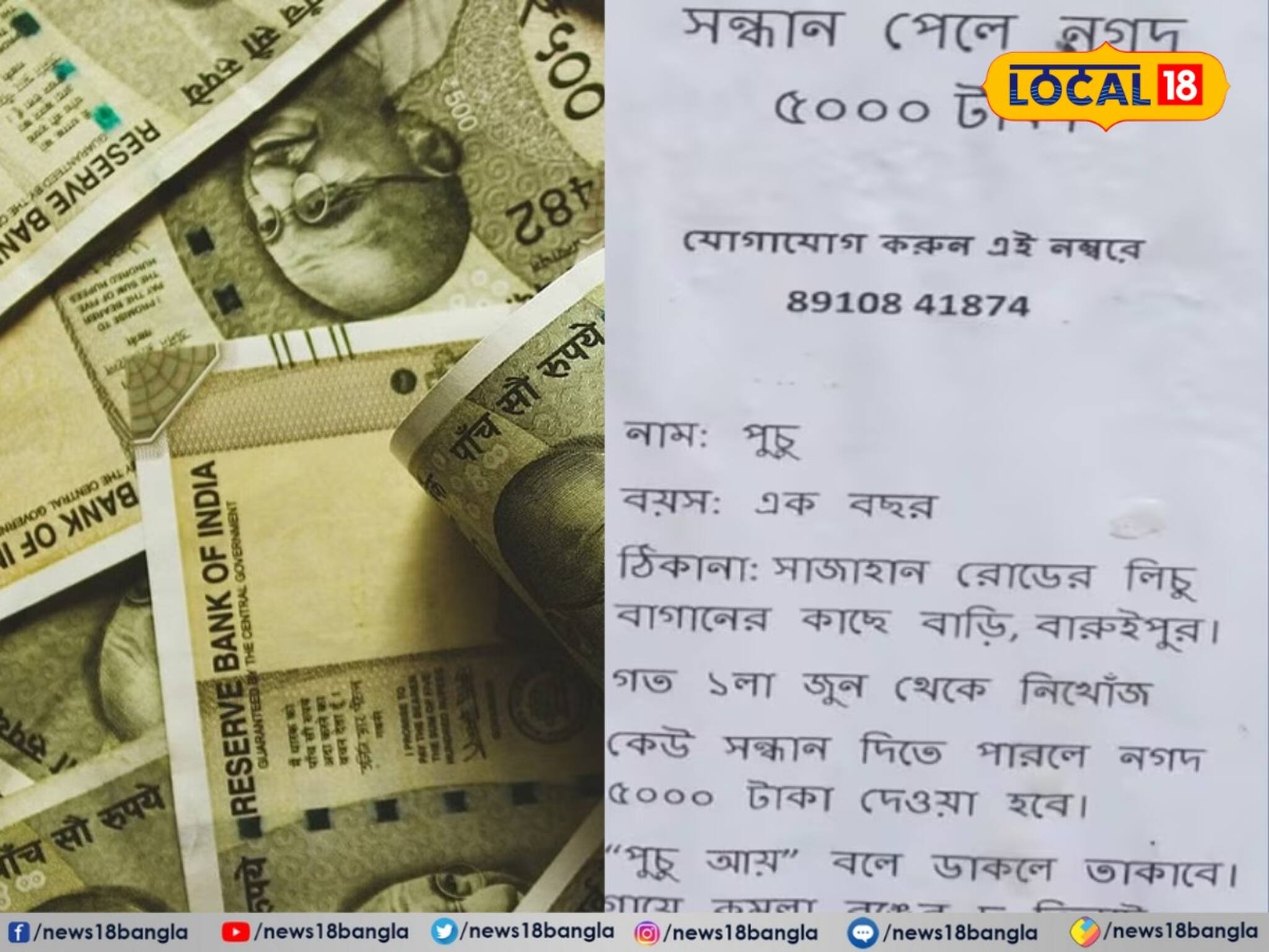 আদরের পুচু নিখোঁজ! সন্ধান দিতে পারলে ৫ হাজার টাকা, বারুইপুর জুড়ে পড়ল পোস্টার 