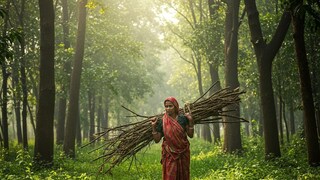 প্রতীকী ছবি (Image Courtesy AI)