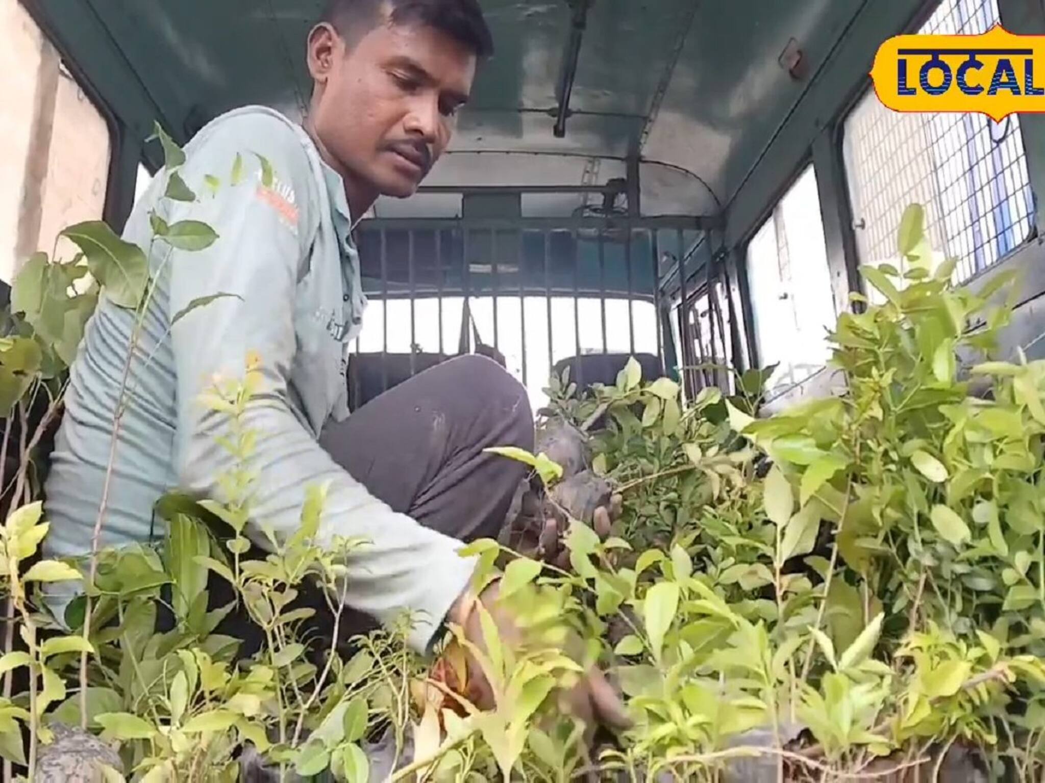 পুলিশের প্রিজনভ্যানে বন্দি গাছ!  পরিবেশ দিবসে অন্য ছবি হাওড়ায়