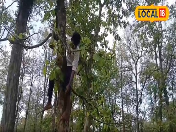 গাছের
