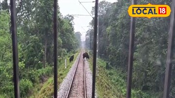 ট্রেনের