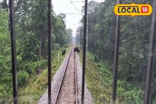 দেশে ভয়ঙ্কর বিমান দুর্ঘটনার মাঝেই এবার চলন্ত ট্রেনের সামনে ২০-২৫টি বাইসনের দৌড়-ঝাঁপ! তারপর