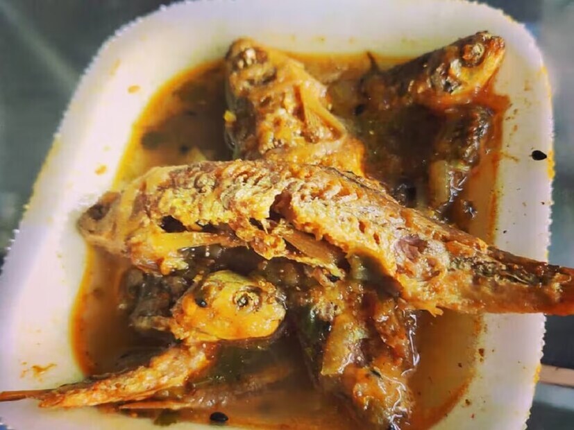 নদীর টলটলে পরিষ্কার প্রবহমান জল ছাড়া বোরোলি বাঁচে না। উত্তরবঙ্গের চা বাগানগুলোতে কীটনাশক ব্যবহার বেড়েছে। তা মিশছে নদীর জলে। তাই নদীর দূষণও বাড়ছে। তিস্তা পাড়ের মৎস্যজীবীদের মতে, বোরোলি খুব সুখী মাছ। জল একটু নোংরা হল তো আর দেখা পাওয়া যাবে না।