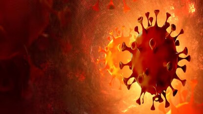 ভারতে ফের করোনার নতুন ভ্যারিয়েন্টের দাপট, ২৪ ঘণ্টায় ২৬৯ সংক্রমিত, কেরালা ও মহারাষ্ট্রে মৃত্যুর মিছিল... ভারতে ফের করোনার নতুন ভ্যারিয়েন্টের দাপট, ২৪ ঘণ্টায় ২৬৯ সংক্রমিত, কেরালা ও মহারাষ্ট্রে মৃত্যুর মিছিল...