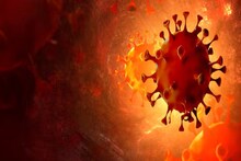 Nipah Virus: নিপা ভাইরাসে আক্রান্ত সন্দেহে হাসপাতালে ভরতি ২, ভেন্টিলেশনে রেখে চিকিৎসা