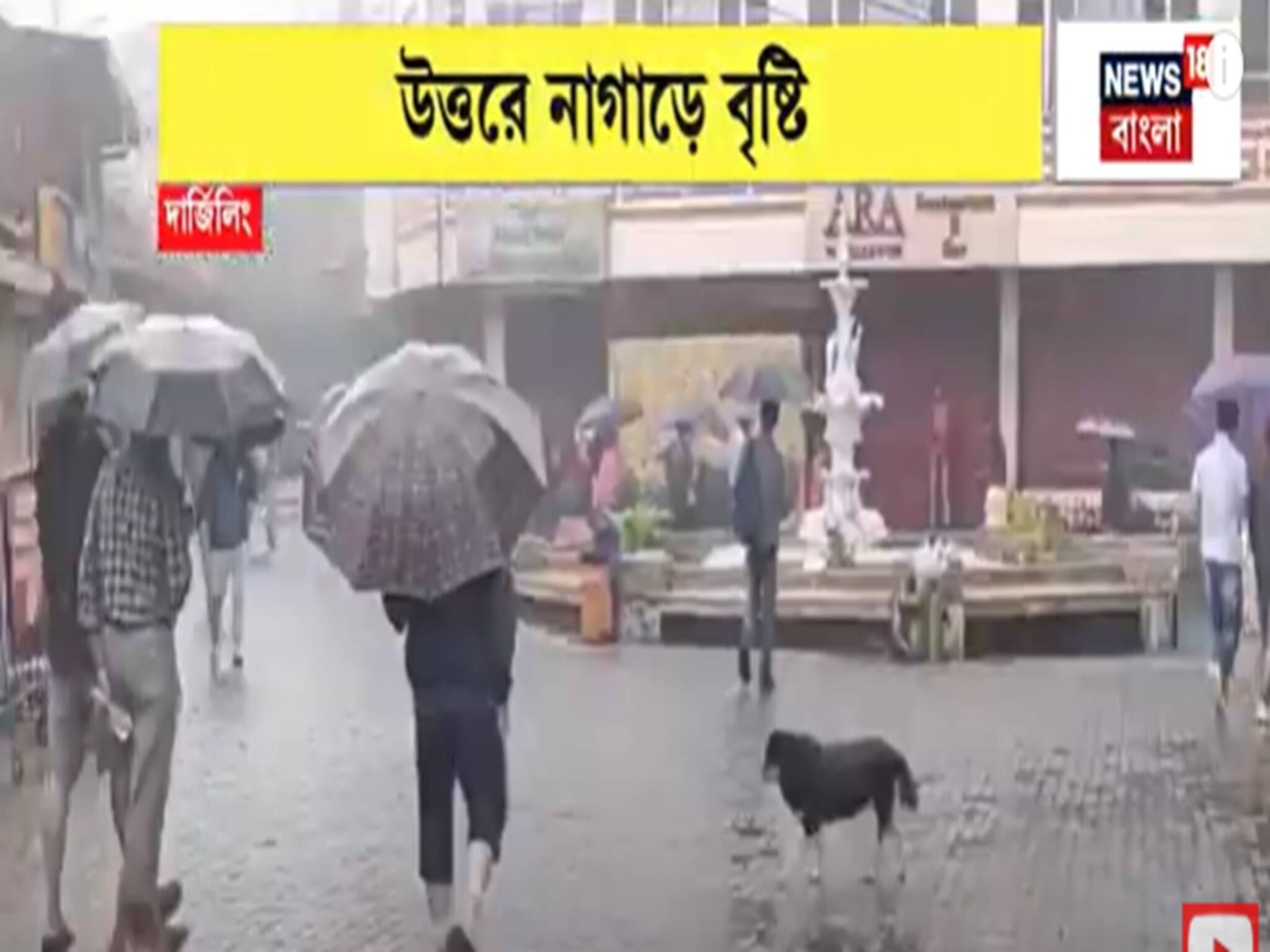 Weather News Today : নাগাড়ে বৃষ্টিতে ভিজছে উত্তর! ভ্যাপসা গরমে হাঁসফাঁস দক্ষিণবঙ্গ!