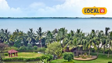 ডায়মন্ড