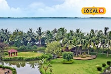 গাছ লাগিয়েই রাজ্যের শীর্ষে, দেশে দ্বিতীয়! ডায়মন্ড হারবারের মুকুটে নয়া পালক