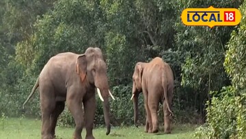 গ্রামের