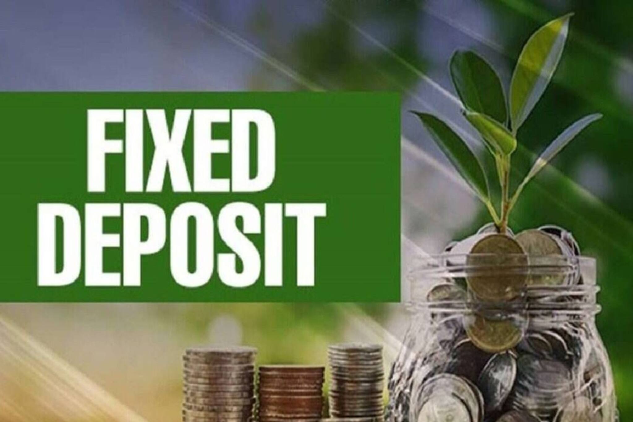 বয়স্কদের জন্য সুখবর ! ৪৪৪ দিনের FD-তে সর্বোচ্চ সুদ দিচ্ছে এই ৭ ব্যাঙ্ক