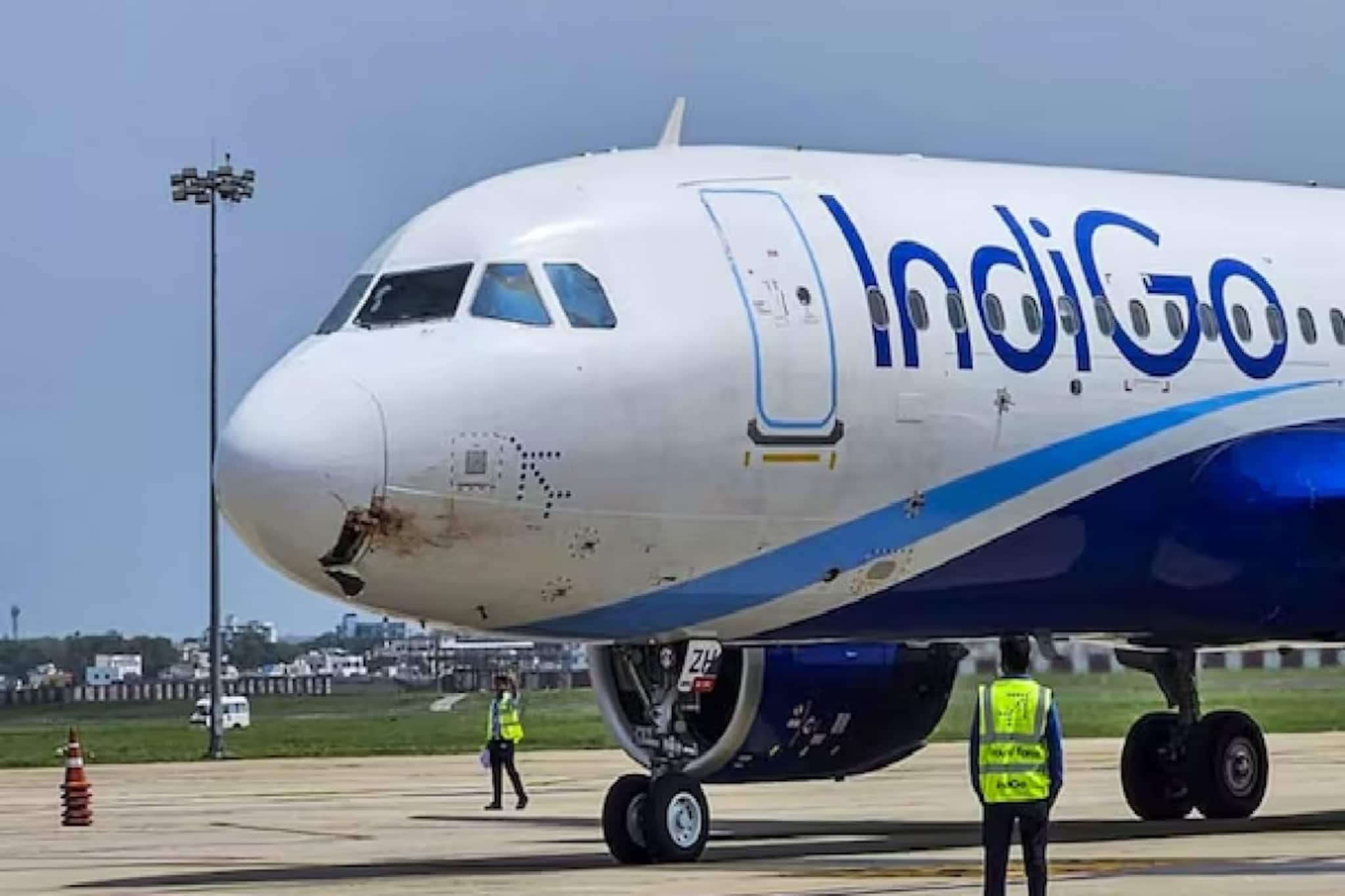 আগস্টে সস্তায় টিকিট, এখন ফ্লাইট বাতিল! ইন্ডিগো নিয়ে ক্ষোভে ফুঁসছেন যাত্রীরা