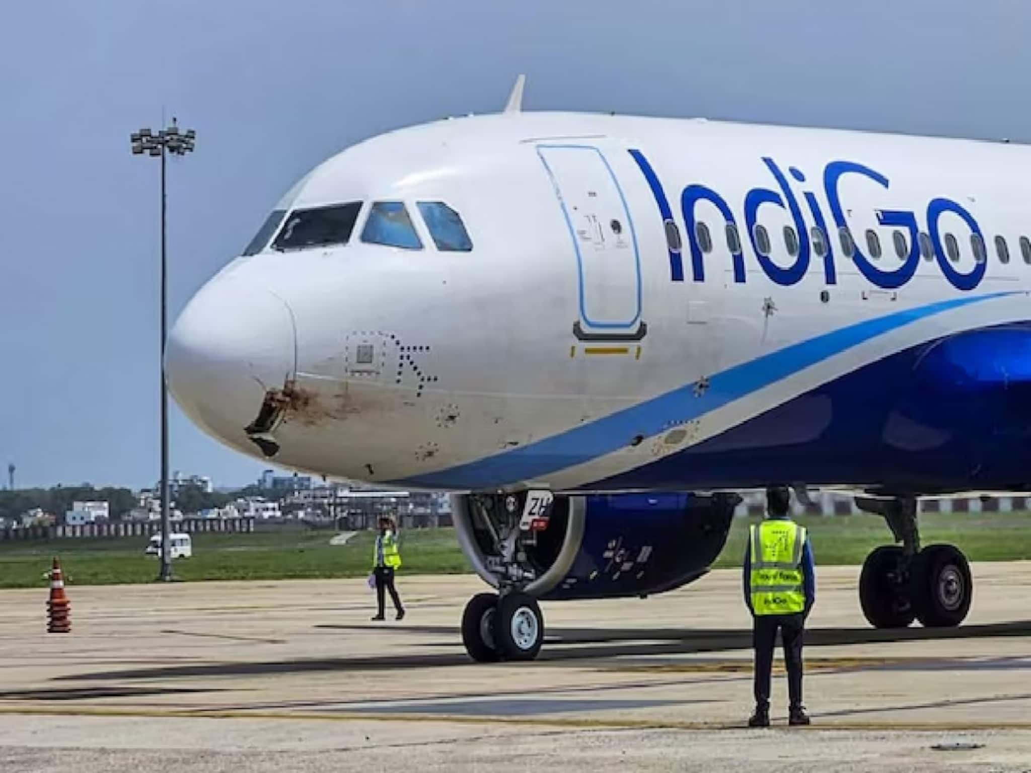 Indigo Update: কলকাতা বিমানবন্দরেও বিপর্যস্ত ইন্ডিগো-র পরিষেবা! বাতিল দশটি উড়ান, দেরিতে উড়ল ৪৯টি, যাত্রীদের পরামর্শ সংস্থার