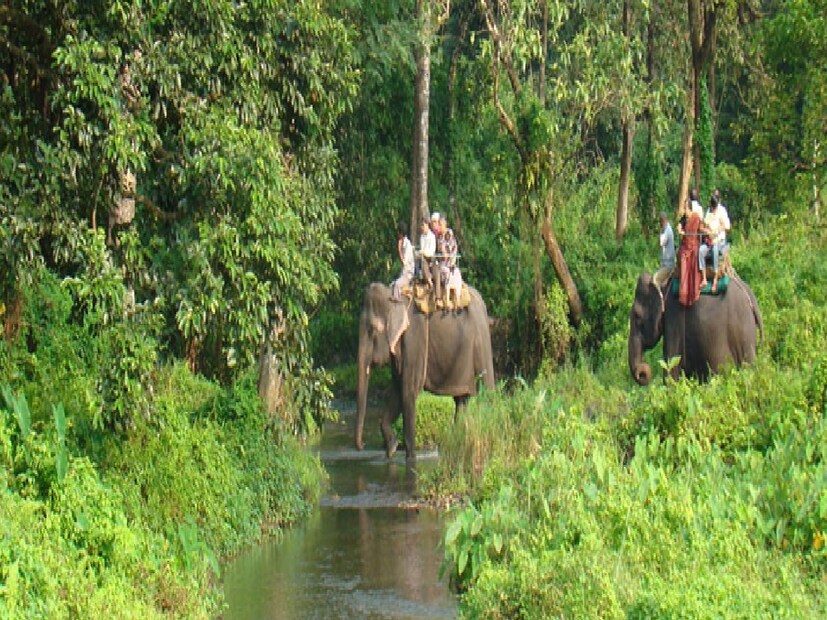 তাই সাময়িকভাবে সময় এগিয়ে যাচ্ছে। রহস্য, প্রকৃতি আর বিশ্বাস—সব মিলিয়ে লাটাগুড়ি যেন ডুয়ার্সের বুকে এক অভিনব টাইম ট্র্যাভেল গন্তব্য! Input- Surajit Dey