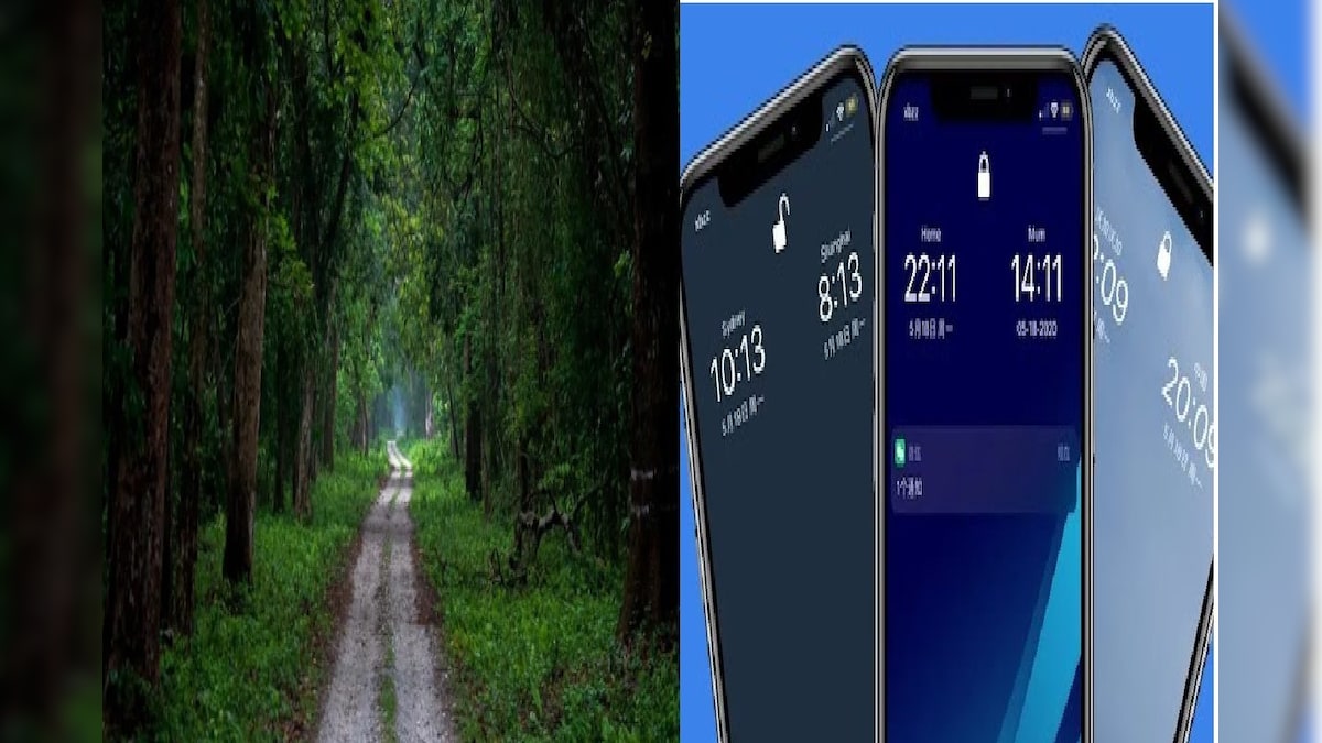 Time lost In Dooars Forest: ডুয়ার্সের জঙ্গলে হারিয়ে যাচ্ছে সময়, ফিরে আসছে আধঘণ্টা পরে! কাণ্ডটা ঠিক কী