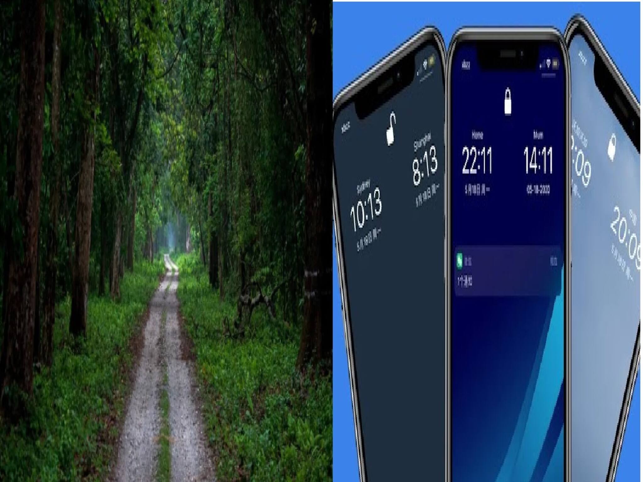 ডুয়ার্সের জঙ্গলে হারিয়ে যাচ্ছে সময়, ফিরে আসছে আধঘণ্টা পরে! কাণ্ডটা ঠিক কী