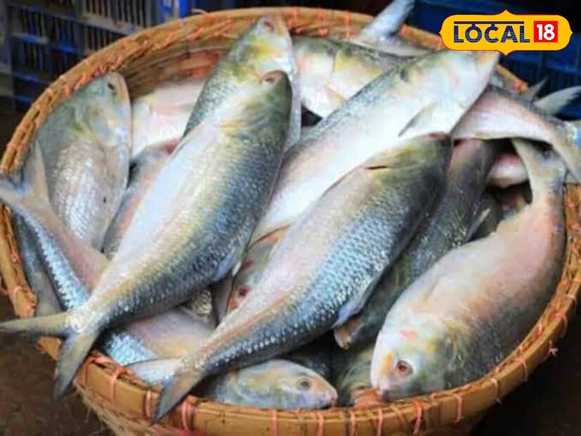 মরশুমের প্রথম ইলিশের দেখা মেলায় মৎস্যজীবীদের পাশাপাশি বাঙালি ভোজনরসিকরাও ইতিমধ্যেই কোমর বাঁধতে শুরু করেছেন। দিঘা মোহনার মৎস্য নিলাম কেন্দ্রের প্রথম দিনে সিংহভাগ আড়ৎ ফাঁকা থাকলেও, হাতেগোনা কয়েকটি আড়তে ছিল সীমিত সংখ্যক ইলিশ।