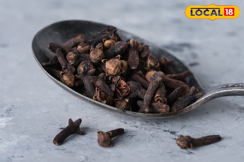 লবঙ্গ এবং দারুচিনির তেলে সামান্য জলের সঙ্গে মিশিয়ে ঘরের প্রবেশপথের চারপাশে রাখলে অথবা যেখান থেকে সাপ ঢুকতে পারে সেই ঝুঁকিপূর্ণ স্থানে স্প্রে করলে সাপের প্রবেশের সম্ভাবনা উল্লেখযোগ্যভাবে কমে যেতে পারে। Photo- Representative