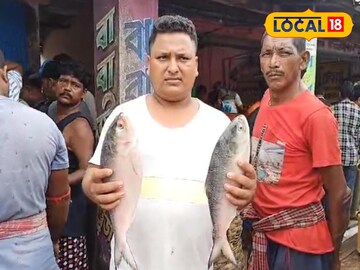 ইলিশ