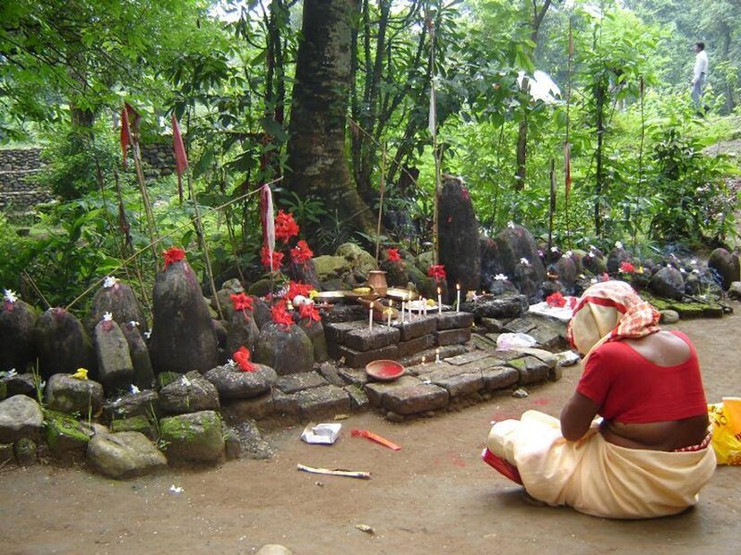 ময়নাগুড়ি হয়ে লাটাগুড়ির রাস্তা ধরে চালসা বা মূর্তি নদীর দিকে যাওয়ার পথে, গরুমারা জঙ্গলের মধ্যবর্তী এলাকায় রয়েছে এক ‘অদৃশ্য টাইম জোন’। সেই পথের মধ্যেই ‘মহাকাল মন্দির’ নামে পরিচিত এক বিশ্বাসের স্থান, যেখানে বহু যাত্রী হাত জোড় করে পুজো দেন হাতির ভয়ের থেকে রক্ষা পেতে। Photo- Facebook/ Collected