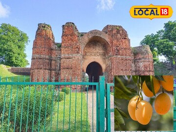 সুইডেন,