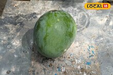 আমের এক ফোঁটা আঠায় হতে পারে দগদগে ঘা! কী করলে সারবে সবচেয়ে তাড়াতাড়ি?