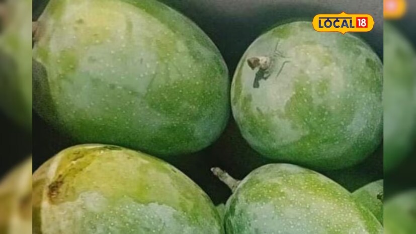 এক আম ভাঙা শ্রমিক অশ্বিনী মন্ডল জানান, 