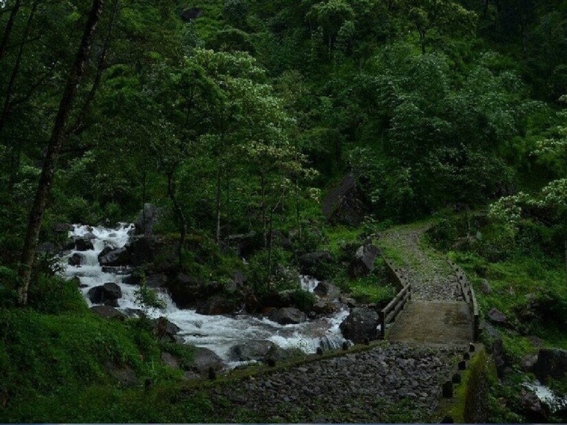 বেড়ানোর তালিকায় বাঙালির বরাবরের জন্য হট ফেভারিট উত্তরবঙ্গ। এই বর্ষায় ঘুরে আসুন নেপাল সীমান্তের মানেভঞ্জন থেকে। এখানেই রয়েছে রঙ্গিত মাজুয়া গ্রাম। পাহাড়ি গ্রামের নৈঃস্বর্গিক সৌন্দর্য্য আপনাকে মোহিত করে দেবে। সবুজে সবুজ দিয়ে সাজানো এই গ্রামের অপরূপ শোভা লেখনিতে বর্ণনা করা বেশ কঠিন। আকাশ পরিষ্কার থাকলে এই গ্রামের সবদিক থেকেই দেখা মিলে সুন্দরী কাঞ্চনজঙ্ঘার।