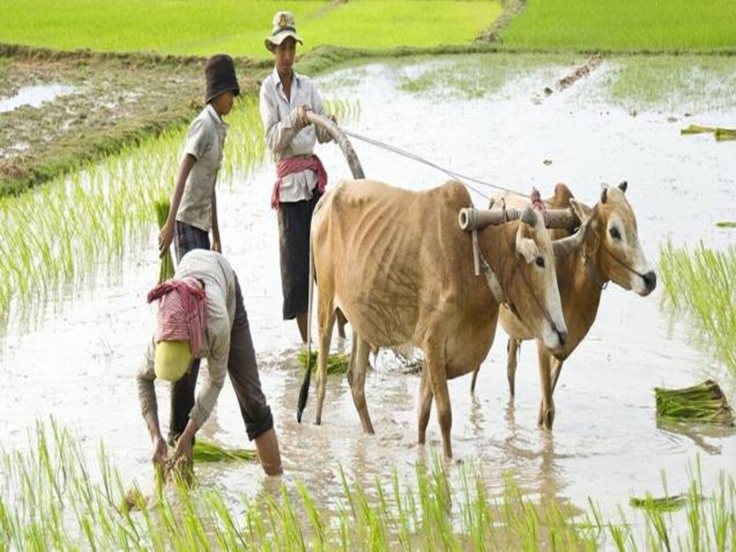 প্রধানমন্ত্রী কিষান যোজনা (PM Kisan) প্রকল্পের মাধ্যমে যোগ্য কৃষকদের বছরে ৬,০০০ টাকা আর্থিক সহায়তা প্রদান করা হয়। এই অর্থ তিনটি সমান কিস্তিতে, অর্থাৎ প্রতি চার মাস অন্তর ২,০০০ টাকা করে প্রদান করা হয়। এই প্রকল্পটি ক্ষুদ্র ও প্রান্তিক কৃষকদের জন্য গুরুত্বপূর্ণ আর্থিক সহায়তা হিসেবে কাজ করে।