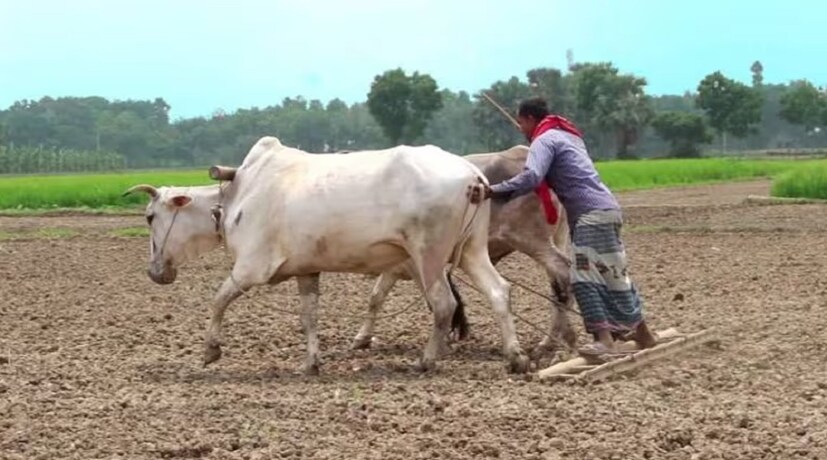 কারা এই সুবিধা পাবেন ?এই সুবিধা পাওয়ার জন্য ভারতীয় নাগরিক হতে হবে ৷

চাষ যোগ্য জমি থাকতে হবে ৷ 

আপনার আয় করযোগ্য না হয় ৷

মাসিক পেনশন ১০ হাজার কম হতে হবে ৷
