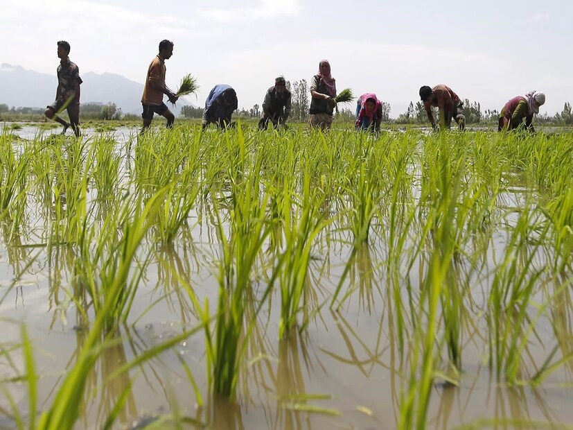 ৩. ভূমি রেকর্ড যাচাই:

আপনার নামে জমির রেকর্ড (land records) সরকারি ডেটাবেসে সঠিকভাবে আপডেট করা আছে কি না তা চেক করুন। ভুল বা অসম্পূর্ণ জমির তথ্য থাকলে কিস্তি বাতিল হতে পারে।