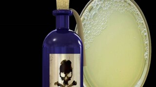 ফাইল ছবি ফাইল ছবি