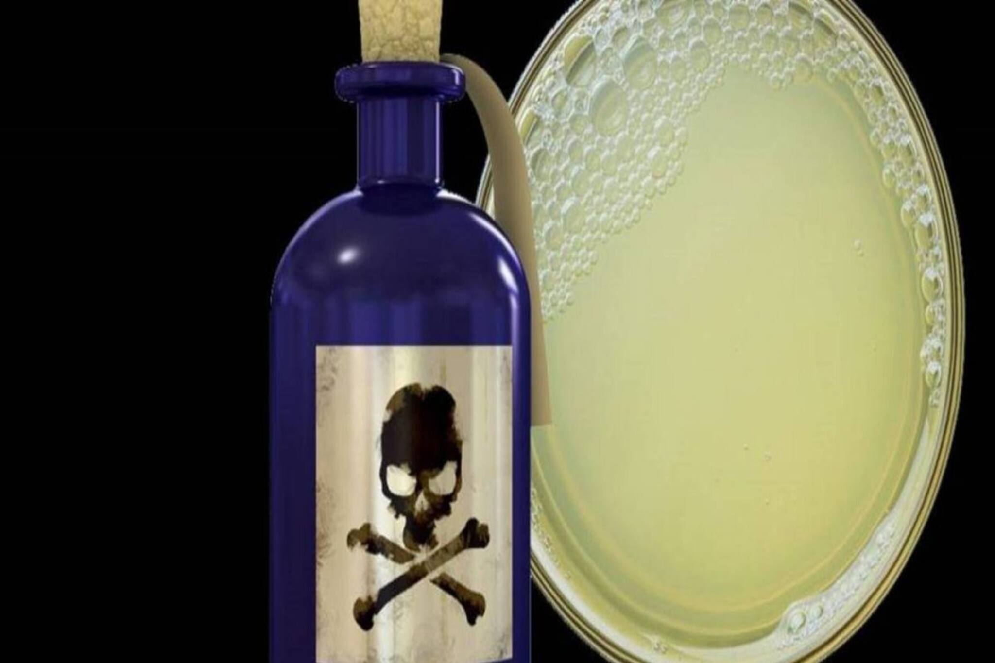 বিষ ঠিক কেমন খেতে? স্বাদ কেমন? খেলে শরীরে কী হয়? উত্তর পেতেই খেল নাবালক, তারপর...