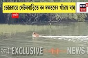এলাকা ঘিরে খাঁচা পেতে শেষমেশ বাঘ-বন্দি, কুলতলিতে খাঁচাবন্দি বাঘকে ছাড়া হল জঙ্গলে
