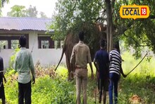 তর সইছিল না! গরমের ছুটি কাটিয়ে স্কুল খুলতেই হাজির রামলাল! তারপর যা যা ঘটল