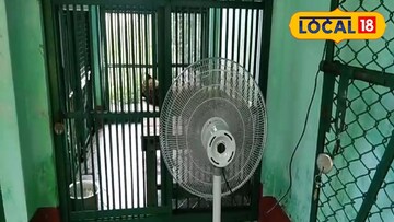 ফ্যানের