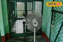 ফ্যানের বাতাস খাচ্ছে চিতাবাঘ,স্নান করছে ঠান্ডা জলে!এমন দৃশ্য এখন দেখা যাচ্ছে এই চিড়িয়াখানা